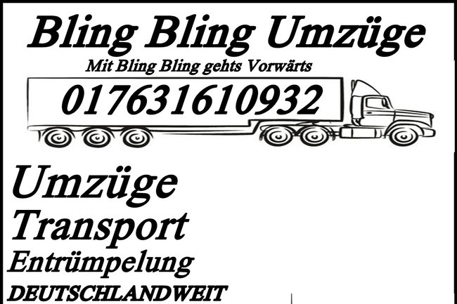 Bling Bling Umzüge-1