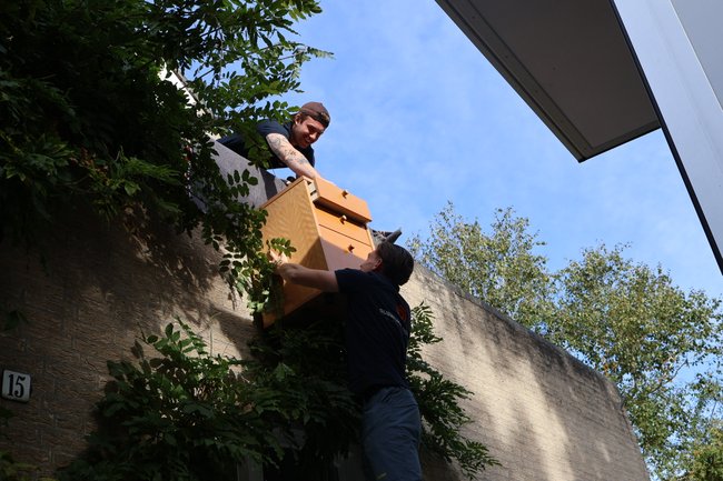 Dubbelman Diensten-2