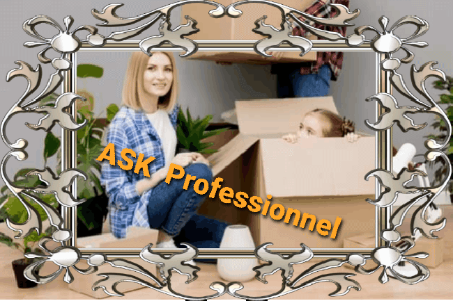ASK Professionnelle - ALY-1