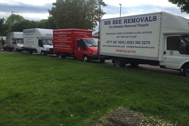 Mr Bee Removals-1