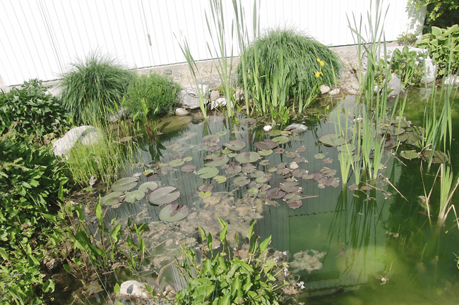 Le Jardin de la Chaumière Sàrl-2