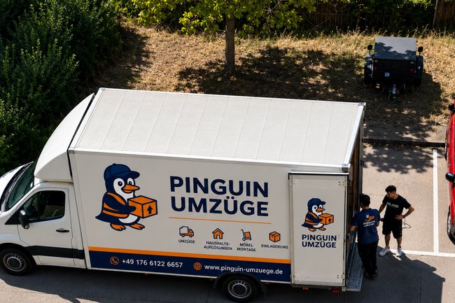 Pinguin Umzüge-22