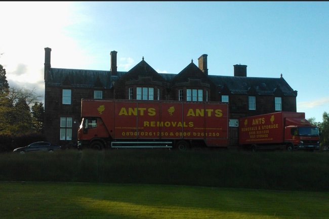 ANTS Removals LTD-1