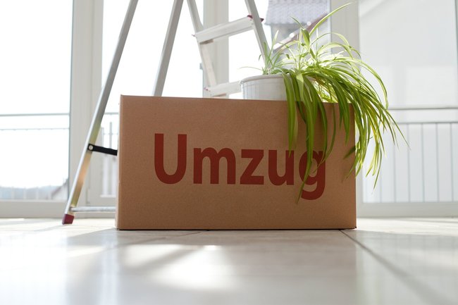 Wohnwechsel24-1
