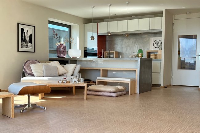PENTHOUSE ONTWERP MODERN ASIAN STIJL