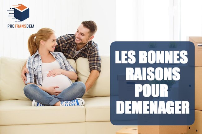 LES BONNES RAISONS POUR DÉMÉNAGER..
https://protransdem.fr