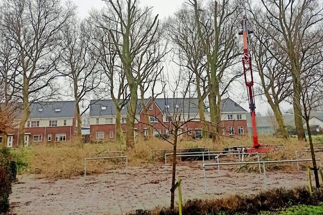 Bomen snoeien met hoogwerker