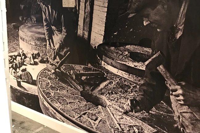 Wallflower painting and wallpapering-5