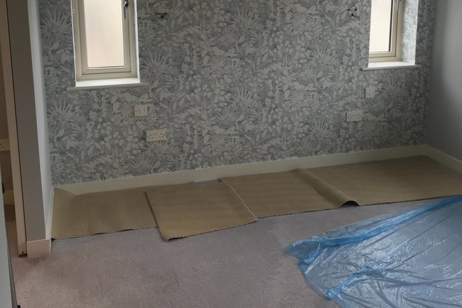 Wallflower painting and wallpapering-4