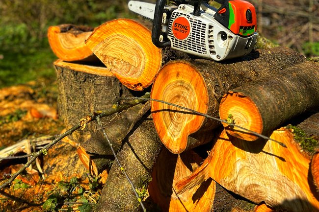 Tuin & Boomwerken GS-1