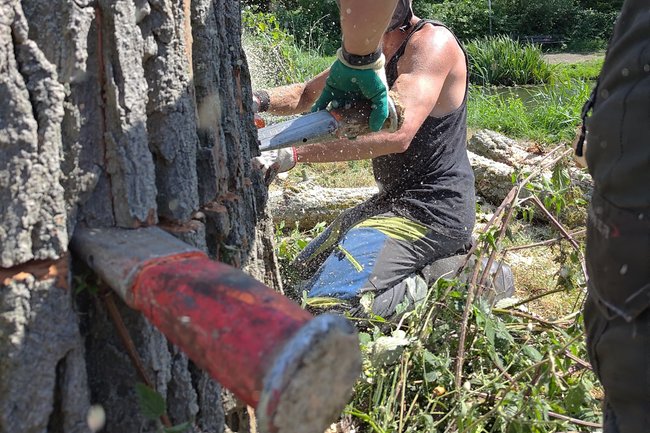 Urban Tree Solutions-3