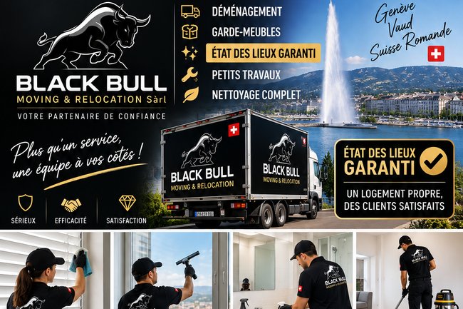 Black bull moving & relocation Sarl-14
