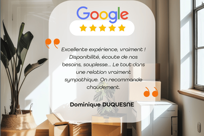 Les fourmis du déménagement-3