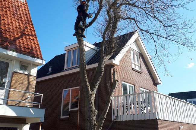 Project in Zandvoort