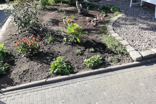 De Tuinbarbier-9