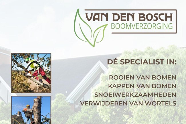 Van den Bosch boomverzorging-4