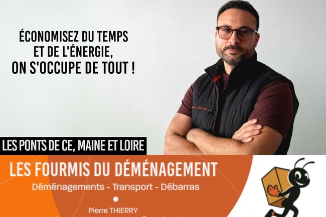 Les fourmis du déménagement-2