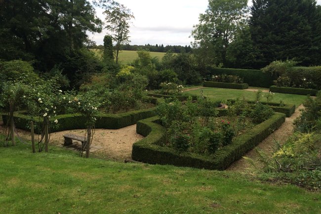 Hedge Trimming