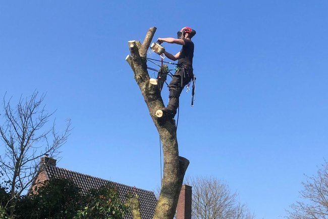 Ikwilvanmijnboompjeaf.nl-4