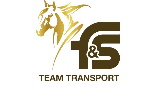 F&S Team Transport GmbH-1