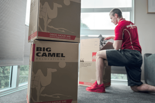 Big Camel Moving & Storage-7