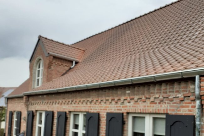Renovatie dakpannen