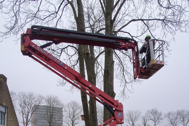 Es snoeien met de hoogwerker.