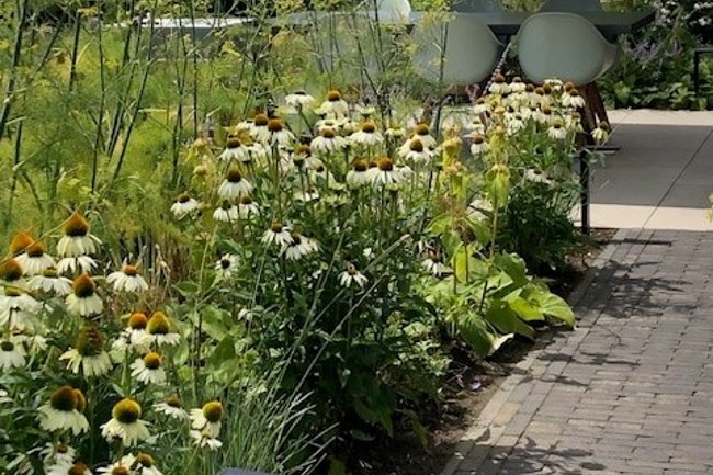 Carla Rovers Vormgeving stad en landschap-4