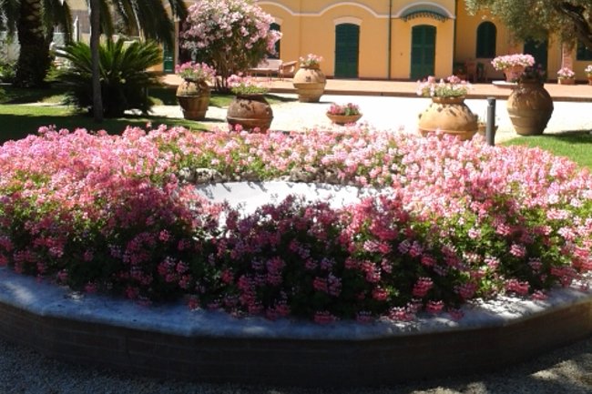 Manutenzione: messa a dimora di gerani a decorazione della f