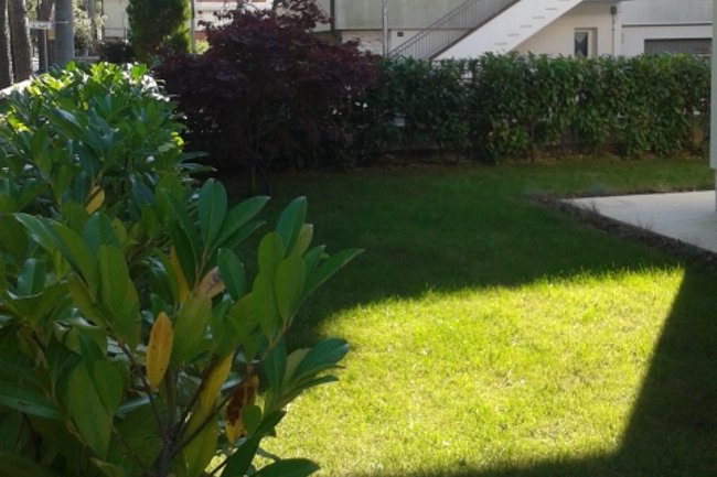 Realizzazione giardino perimetrale