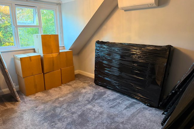 Elephant Removals ltd-12