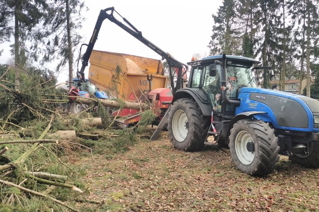 Wij kunnen elke boom rooien of snoeien.
Geen boom onmogelijk