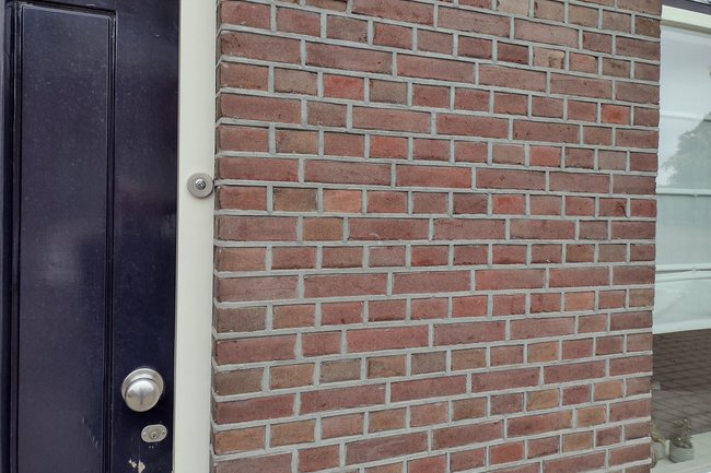 Knip en snijwerk vanaf 75 euro per m2