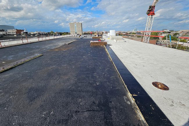 Apex Roof-8