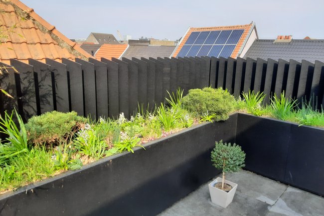 Jefkes Tuinonderhoud-2