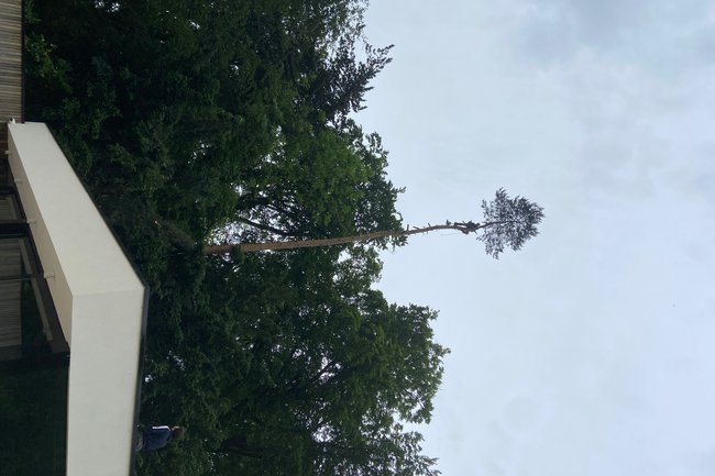 DVT tuinonderhoud-44