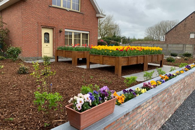 DVT tuinonderhoud-18