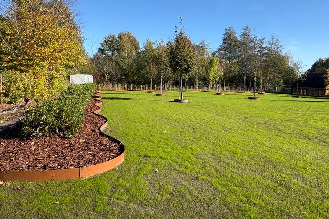 DVT tuinonderhoud-33