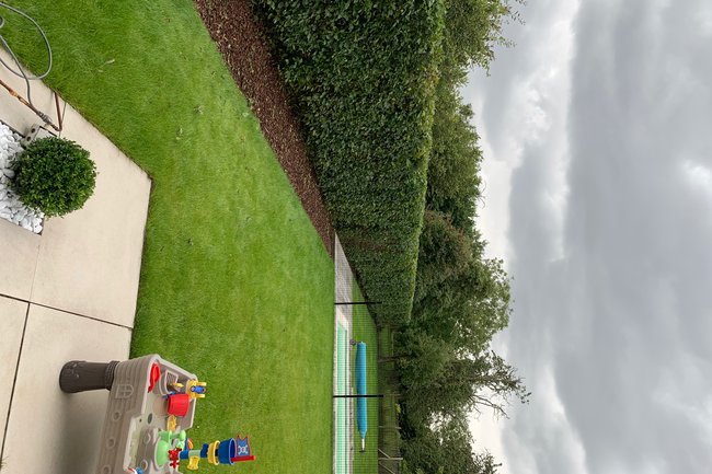 DVT tuinonderhoud-41