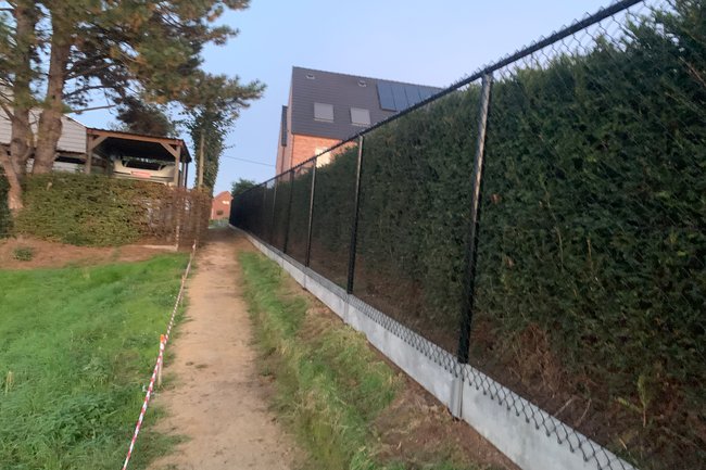 DVT tuinonderhoud-35