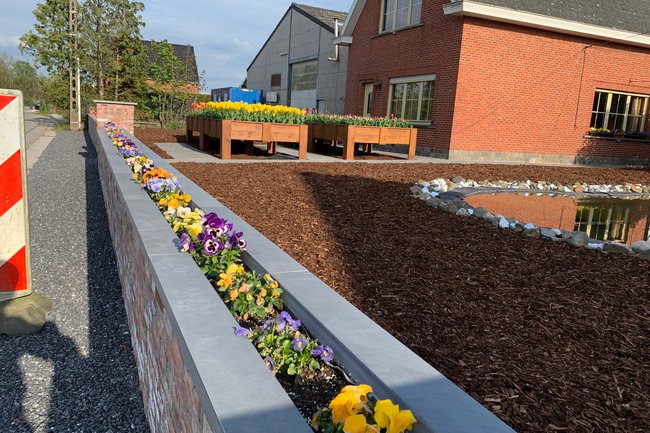 DVT tuinonderhoud-22