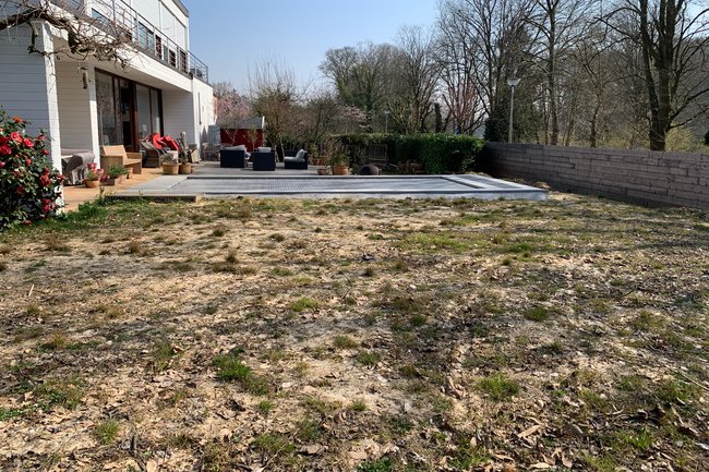 Renovatie tuin