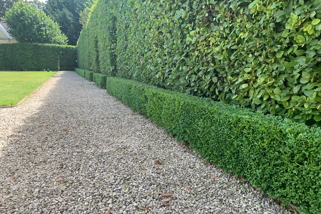 DVT tuinonderhoud-40