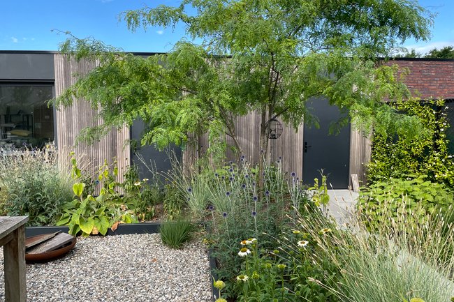 Carla Rovers Vormgeving stad en landschap-1