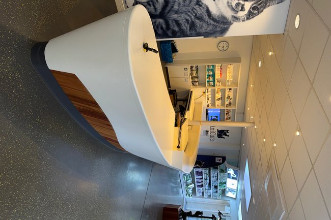 Schildersbedrijf balfoort-9