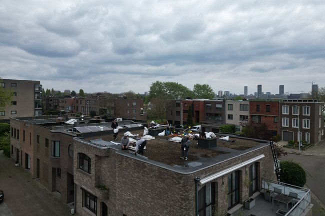 Apex Roof-4