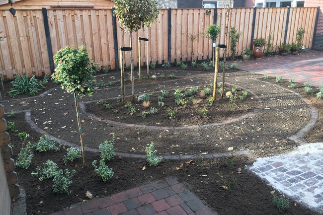 BtHgroen-1