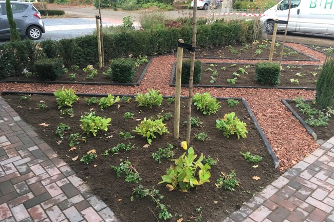 BtHgroen-2