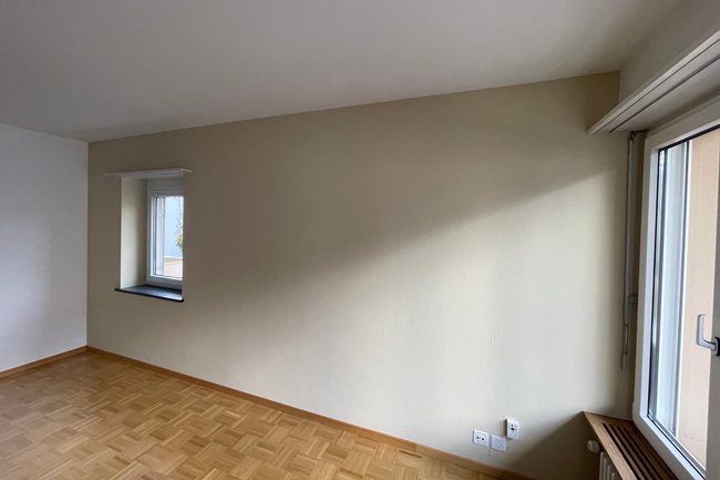 Maler - Arbeiten Conte-24