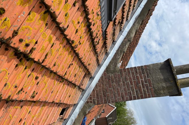 Dakwerken Venstermans Dries-1